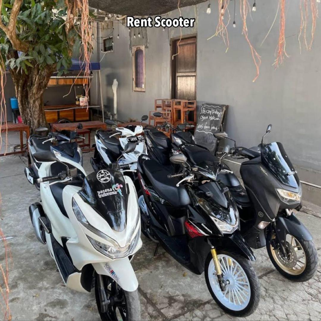 Loyal Friend Hostel Karimunjawa Ngoại thất bức ảnh